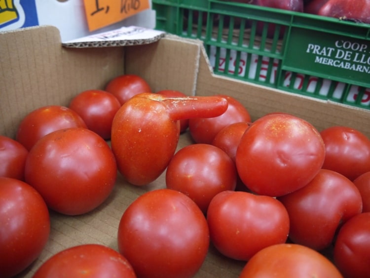 Strange Tomato, Barcelona