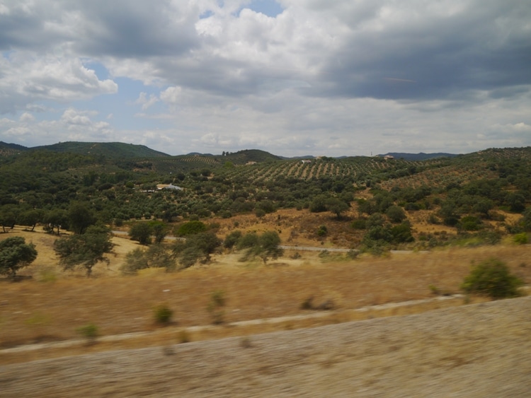 View From The Madrid To Seville Train