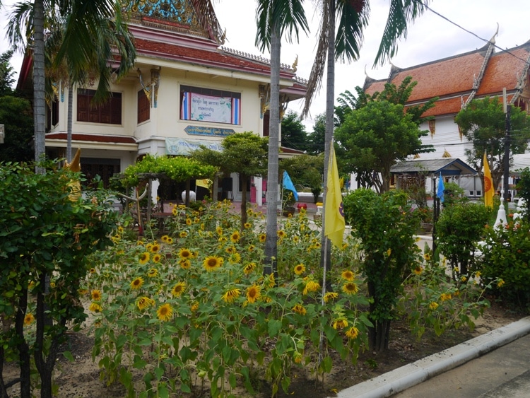 A Temple With Sunflowers On Ko Kret